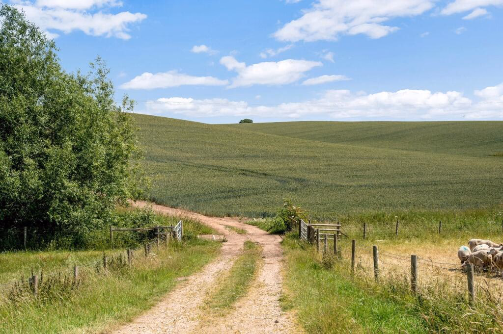 Land for sale - Image 2