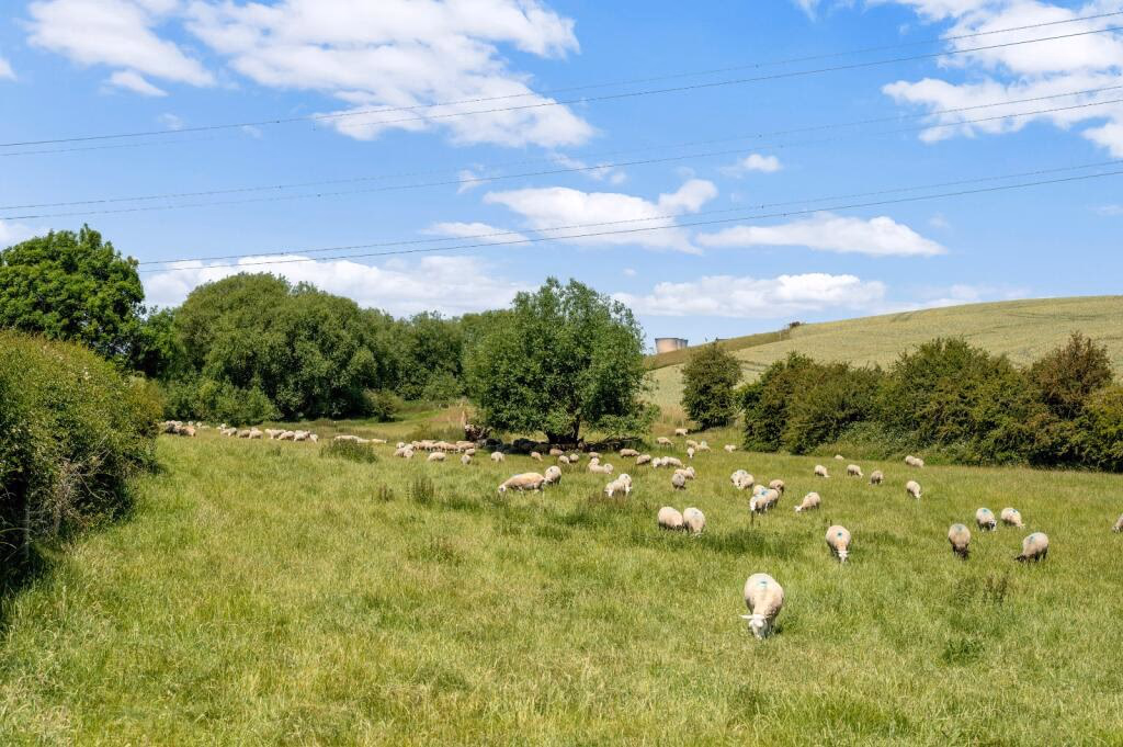 Land for sale - Image 3