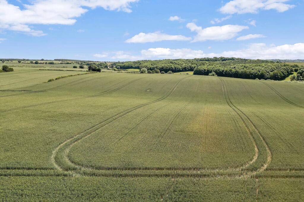 Land for sale - Image 5