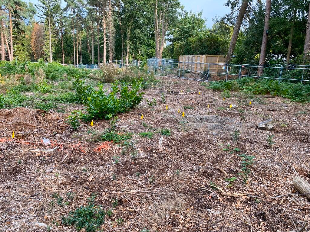 Plot for sale - Image 2