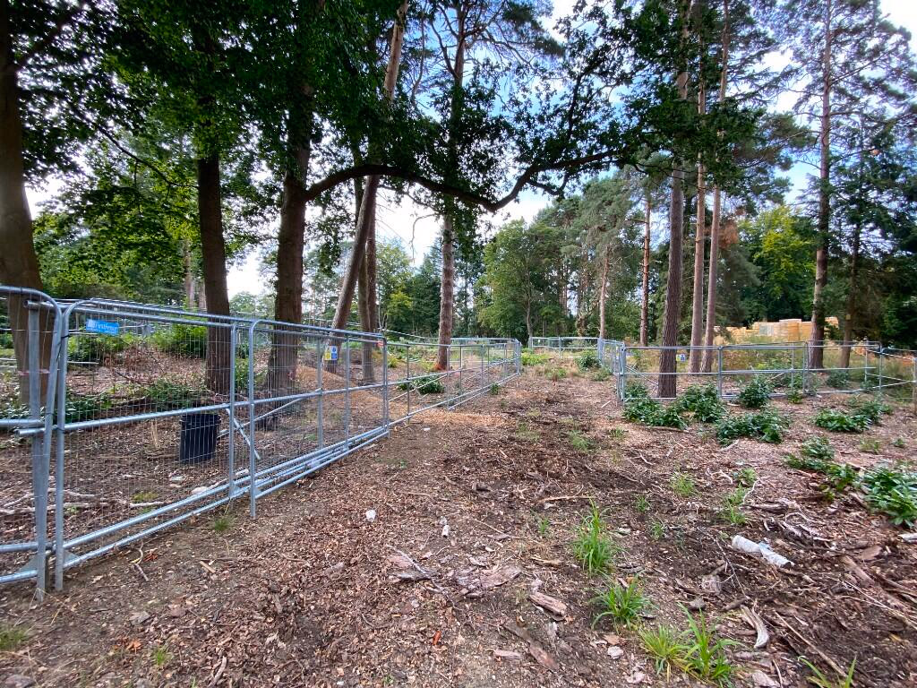 Plot for sale - Image 3