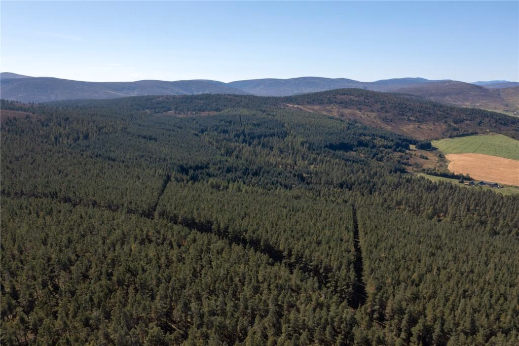 Land for sale - Image 2