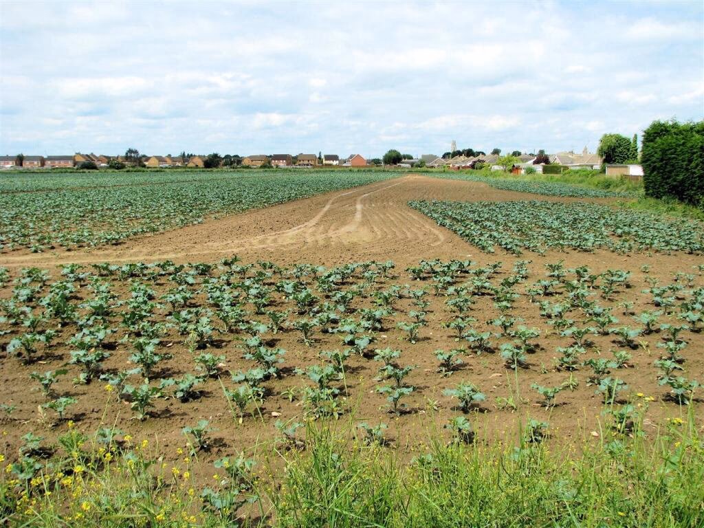 Plot for sale - Image 1