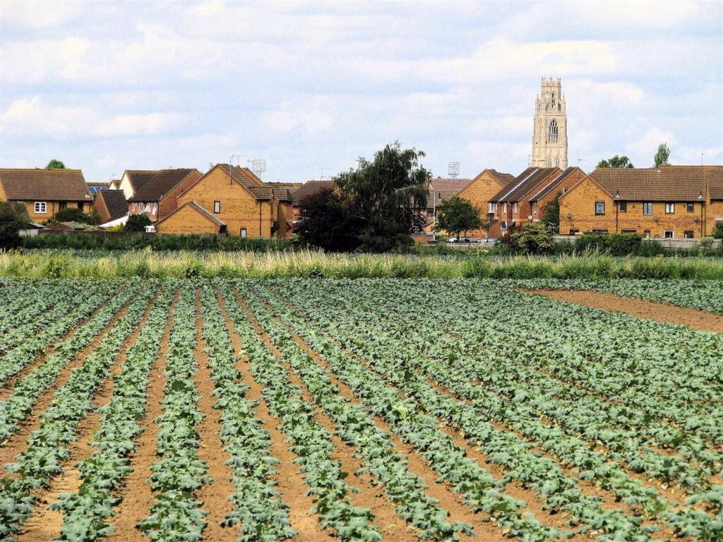 Plot for sale - Image 2