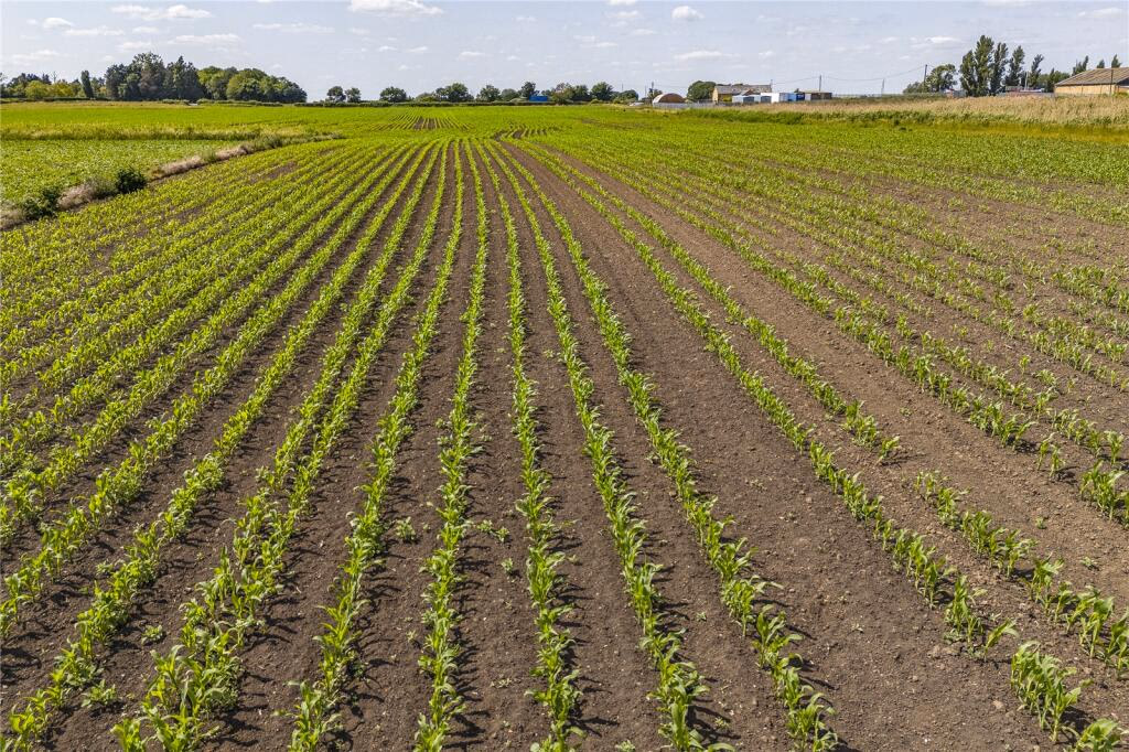 Land for sale - Image 2