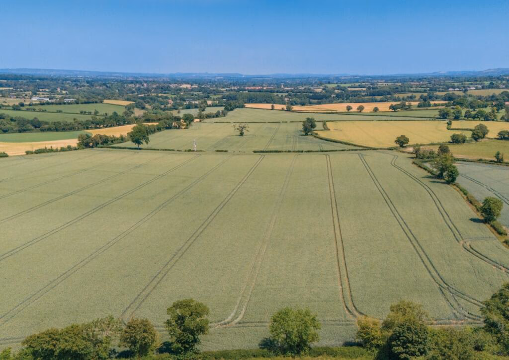 Farm land for sale - Image 1