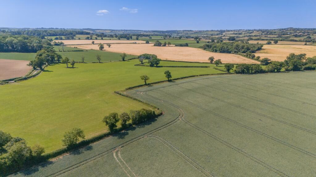 Farm land for sale - Image 2