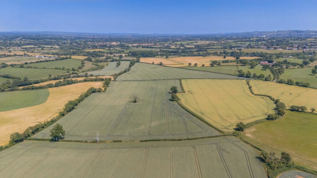 Farm land for sale - Image 3