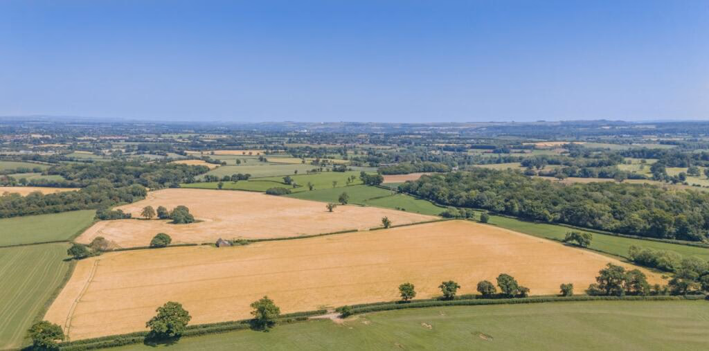 Farm land for sale - Image 4