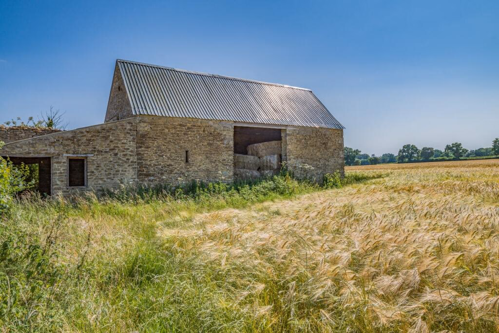 Farm land for sale - Image 5