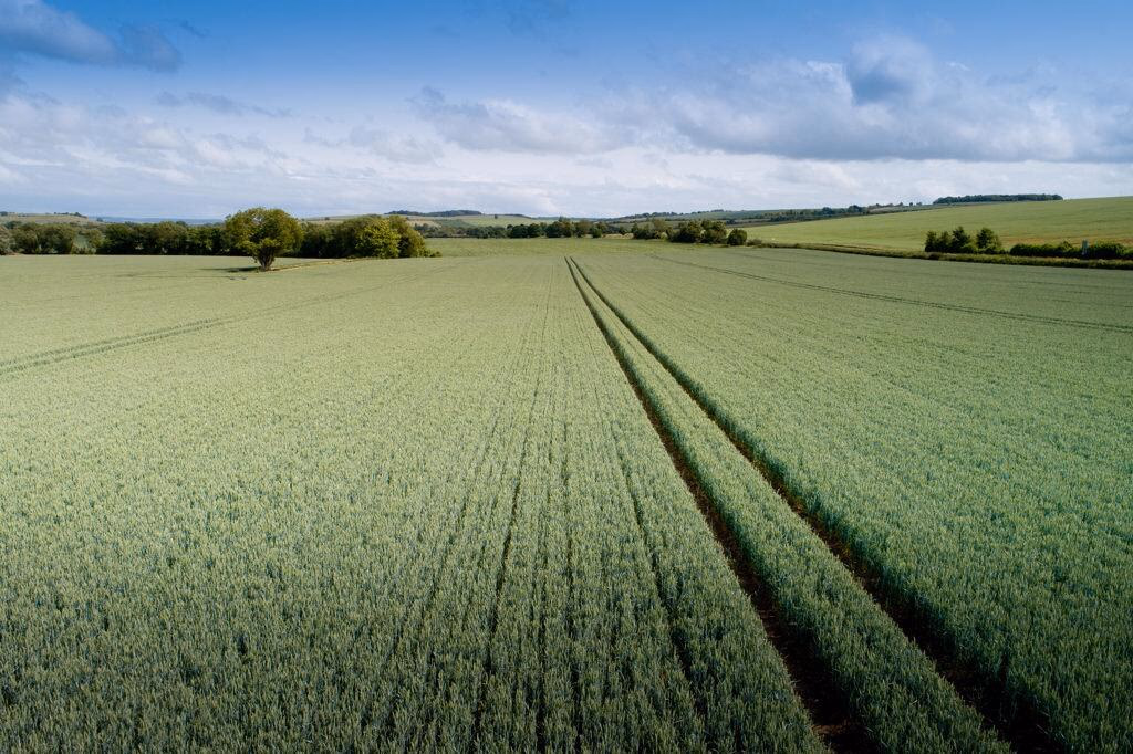 Farm land for sale - Image 2