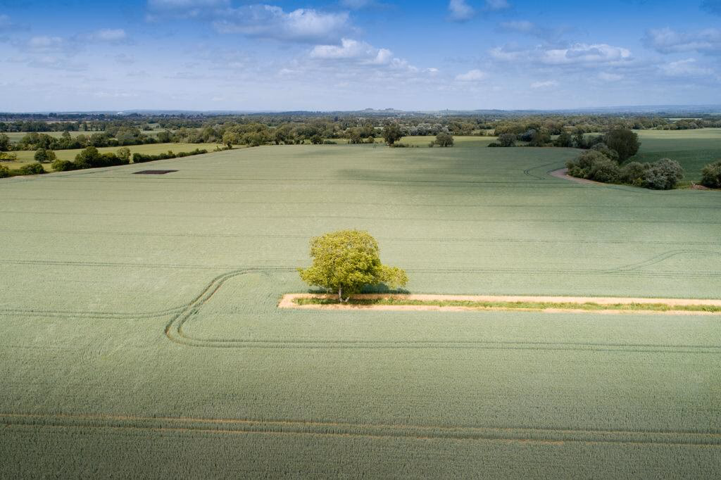 Farm land for sale - Image 3