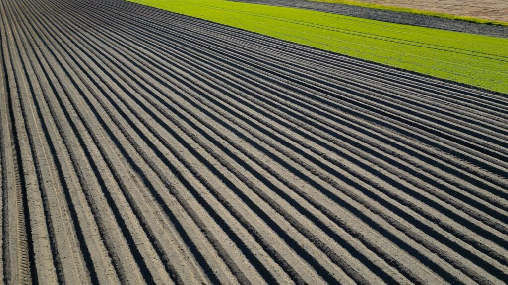 Land for sale - Image 2