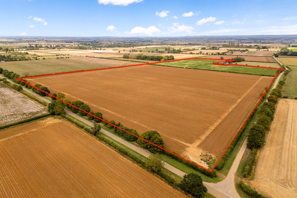 Farm land for sale - Image 4