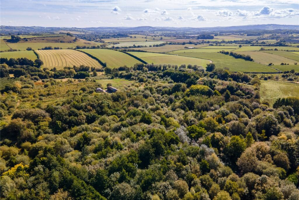 Plot for sale - Image 3