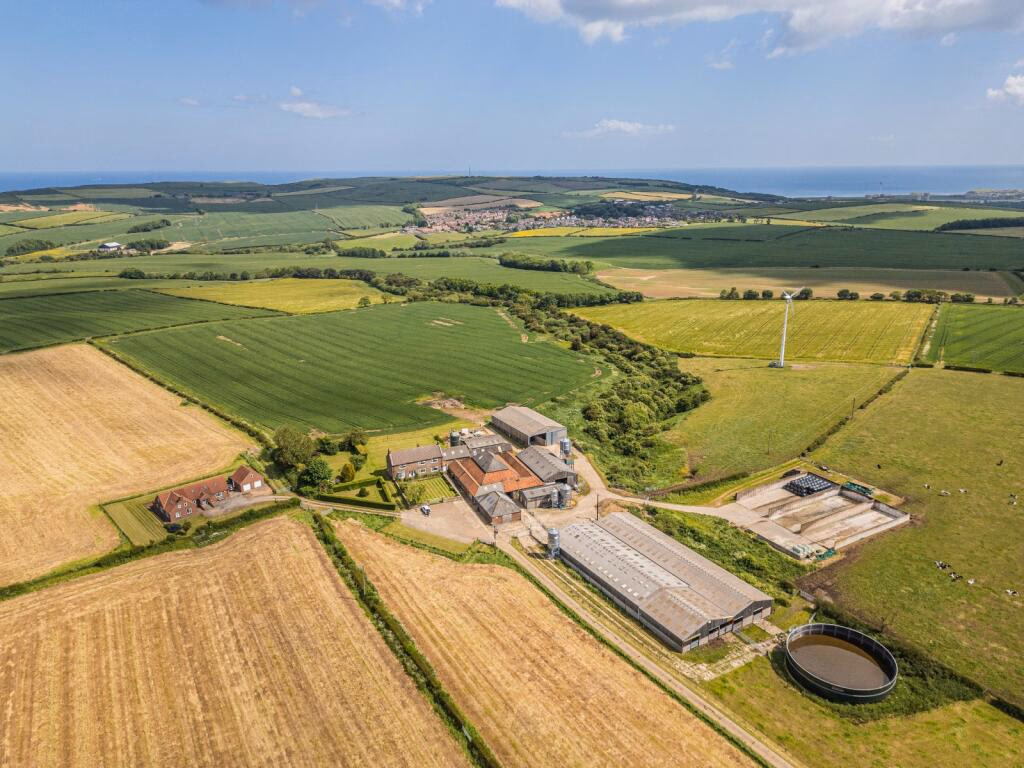 Farm land for sale - Image 1