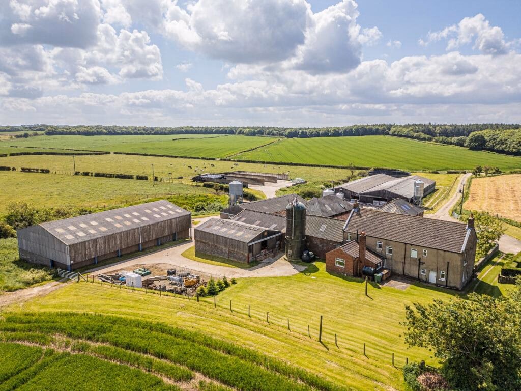 Farm land for sale - Image 3