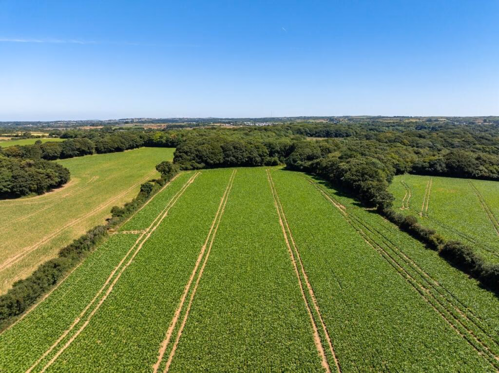 Land for sale - Image 2