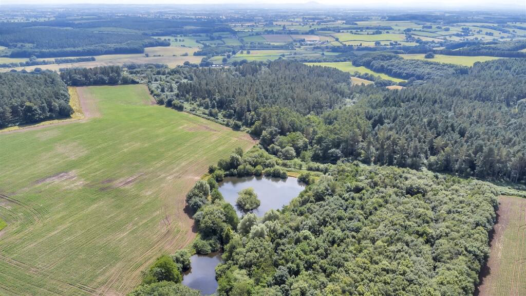 Land for sale - Image 4