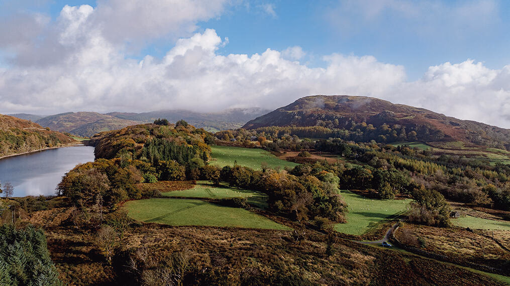 Land for sale - Image 1