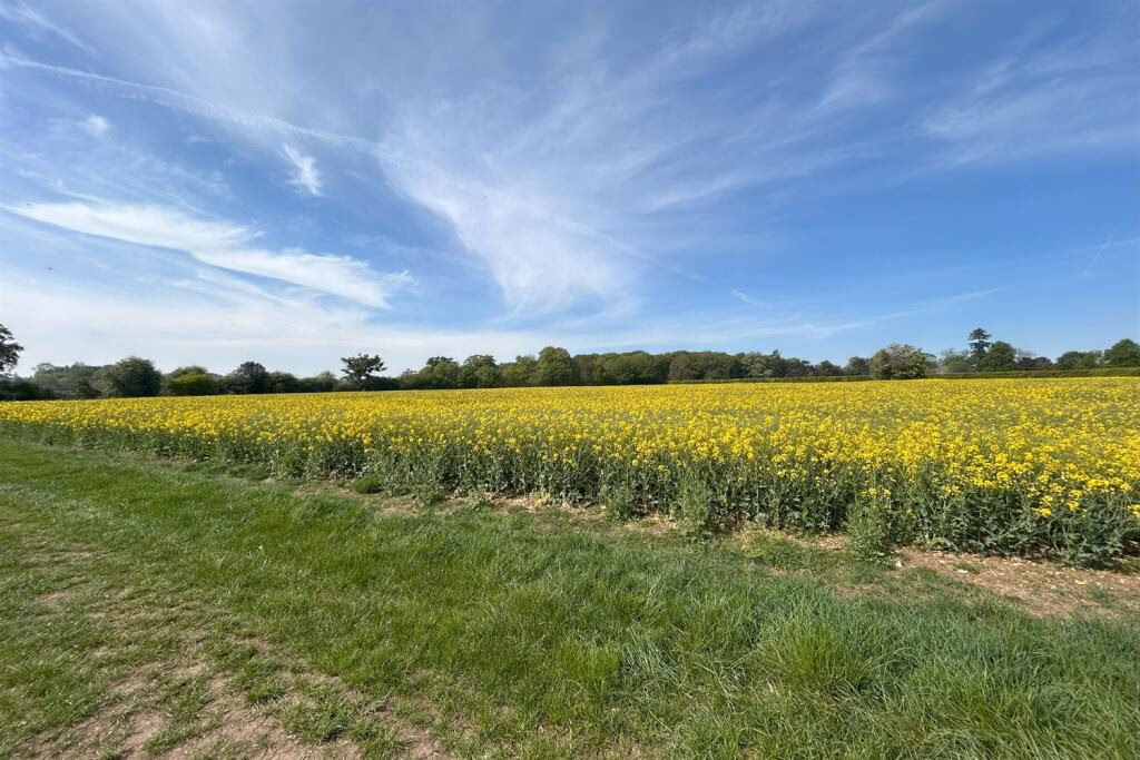 Land for sale - Image 2