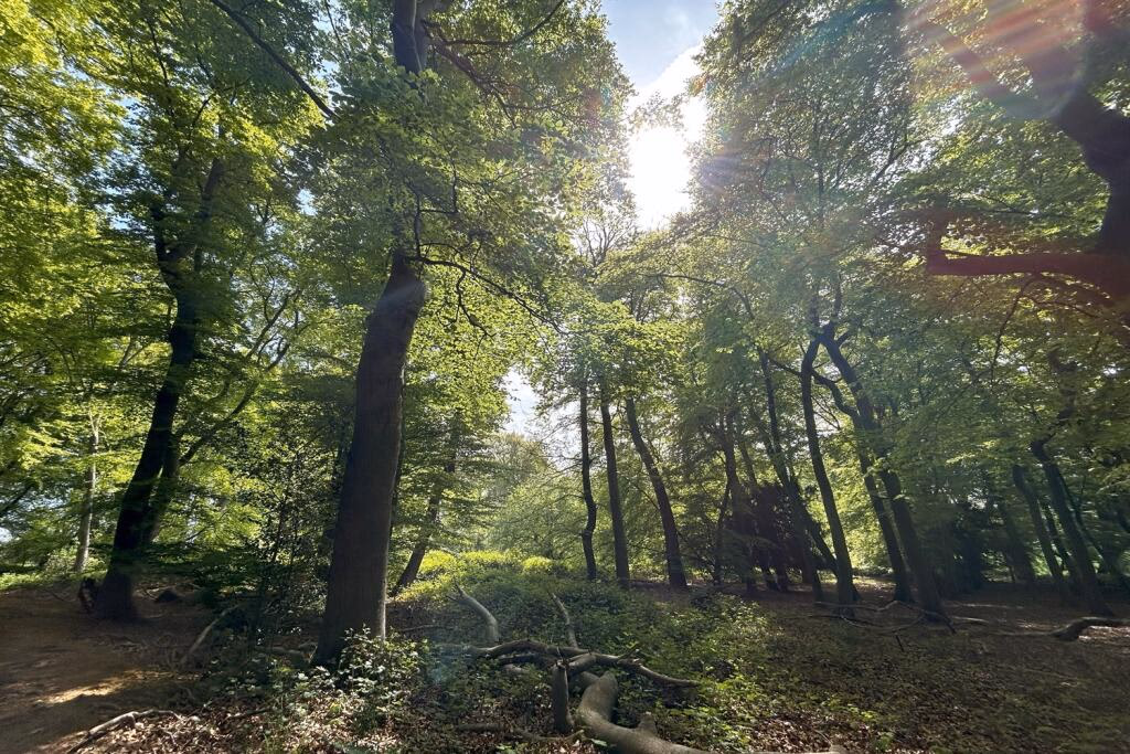 Land for sale - Image 3