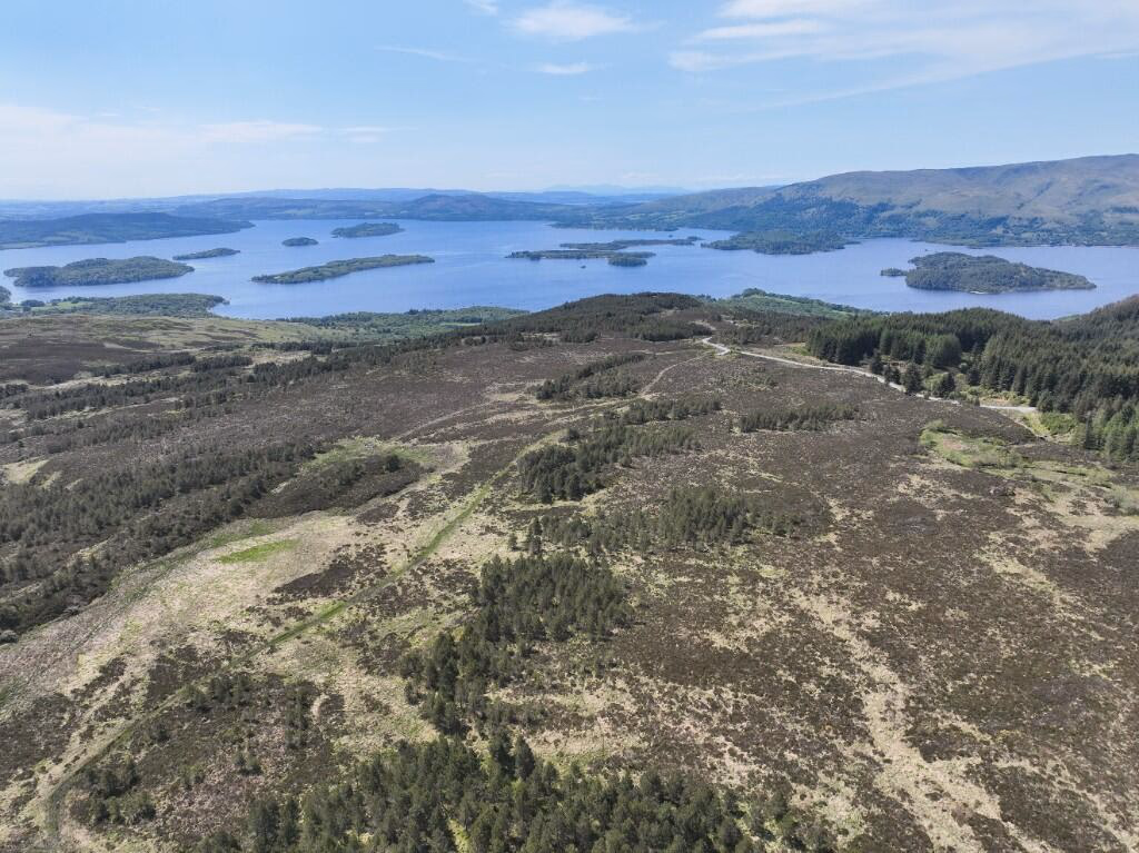 Land for sale - Image 1