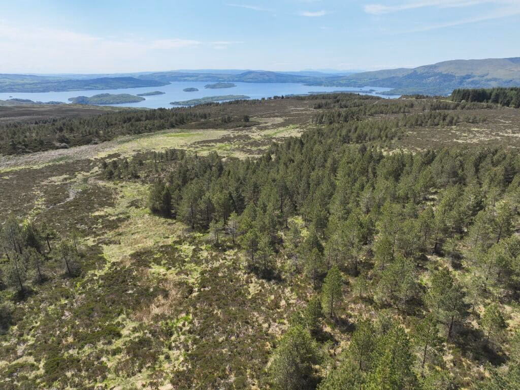 Land for sale - Image 2