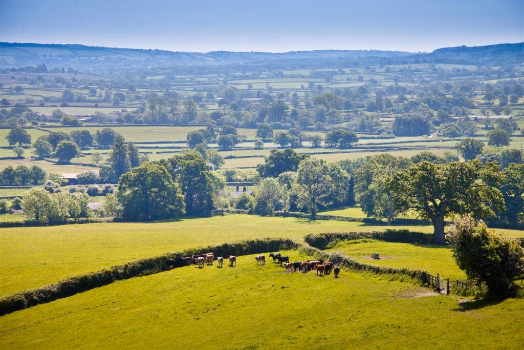 Land for sale - Image 4