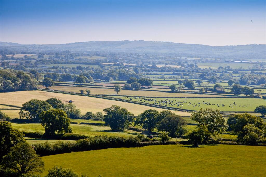 Land for sale - Image 5