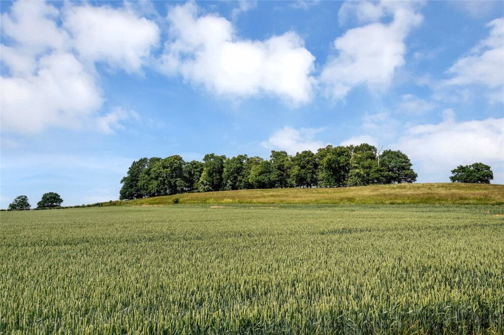 Land for sale - Image 2