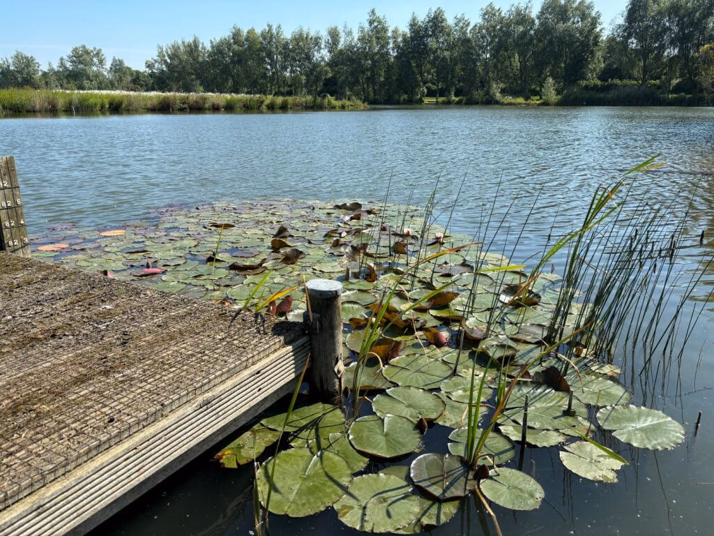 Land for sale - Image 5