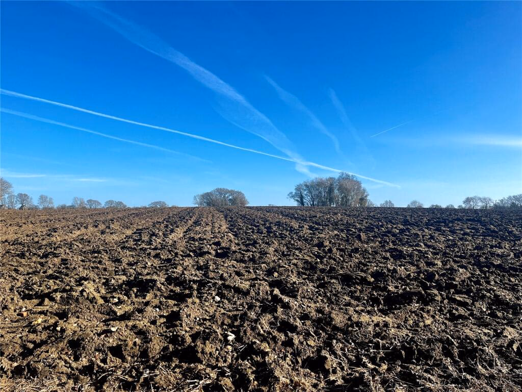 Land for sale - Image 4