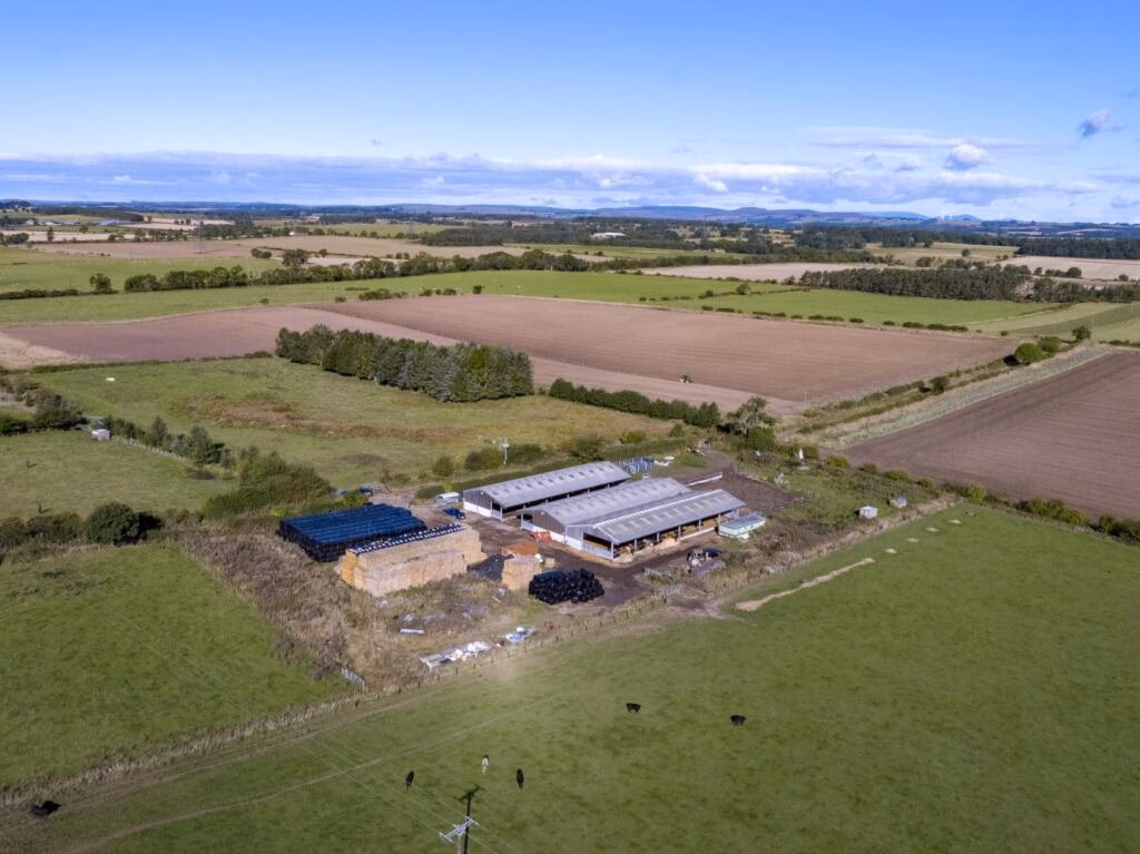 Land for sale - Image 1