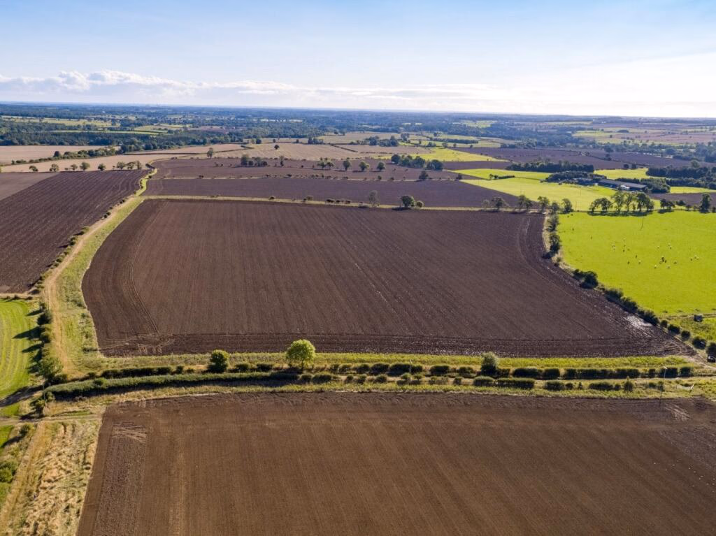 Land for sale - Image 4