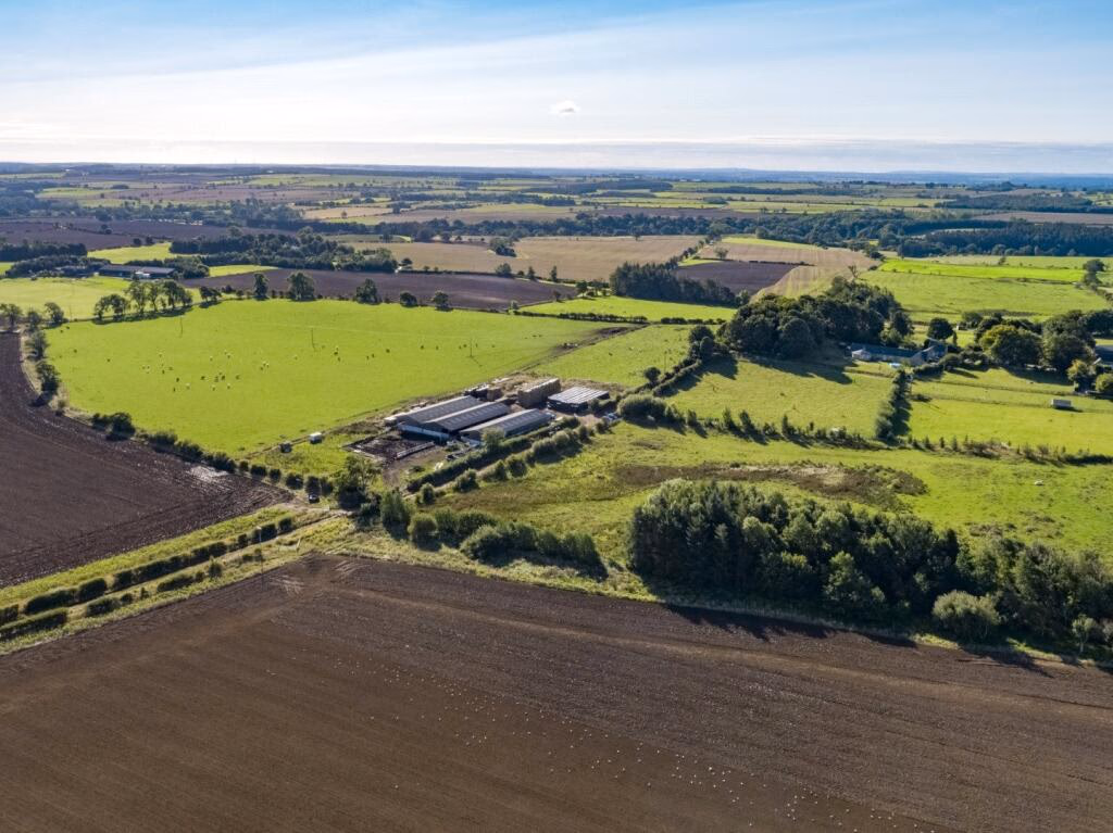 Land for sale - Image 5