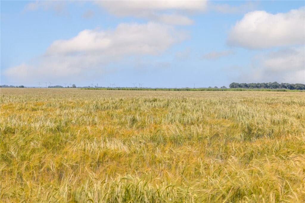 Land for sale - Image 3