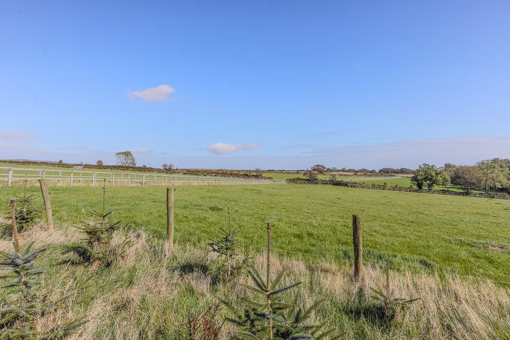 Land for sale - Image 3