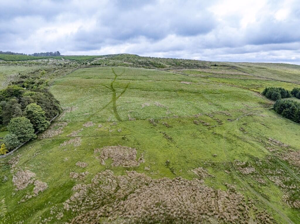 Farm land for sale - Image 2