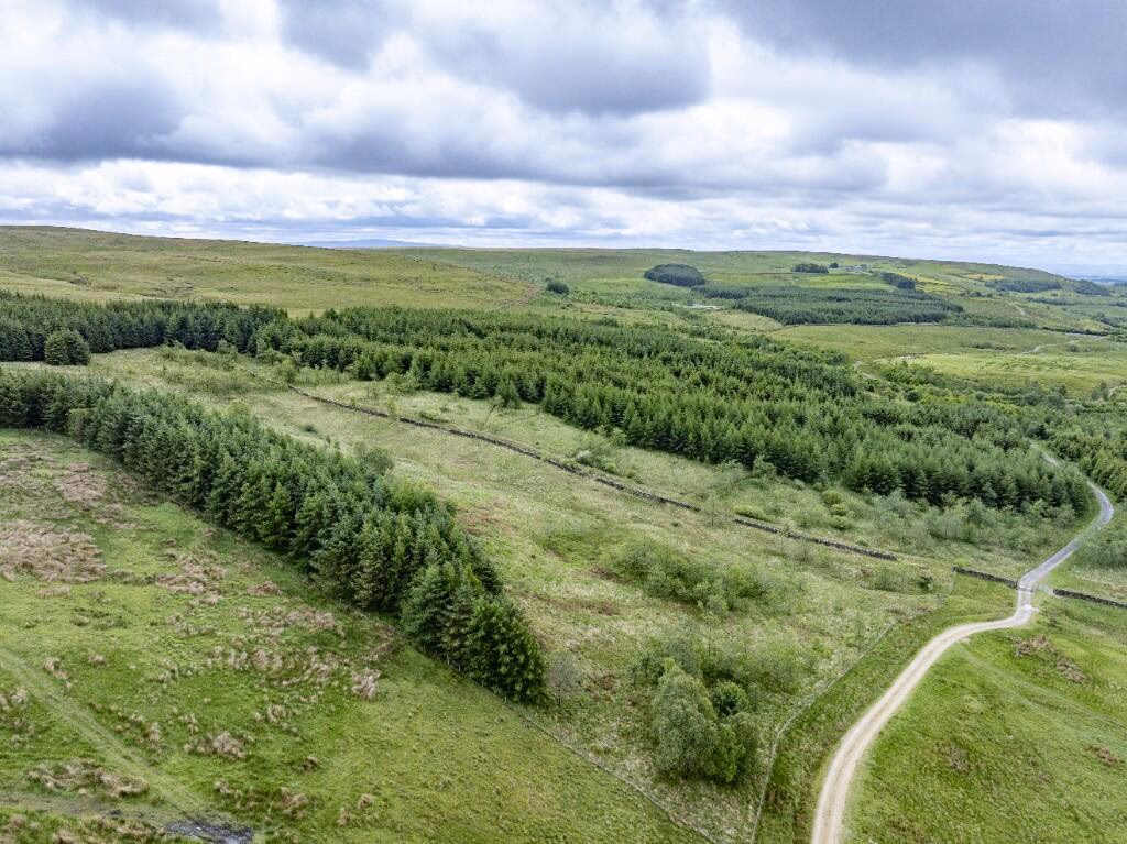 Farm land for sale - Image 3