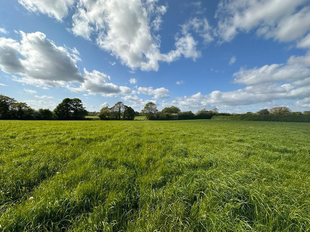 Land for sale - Image 2