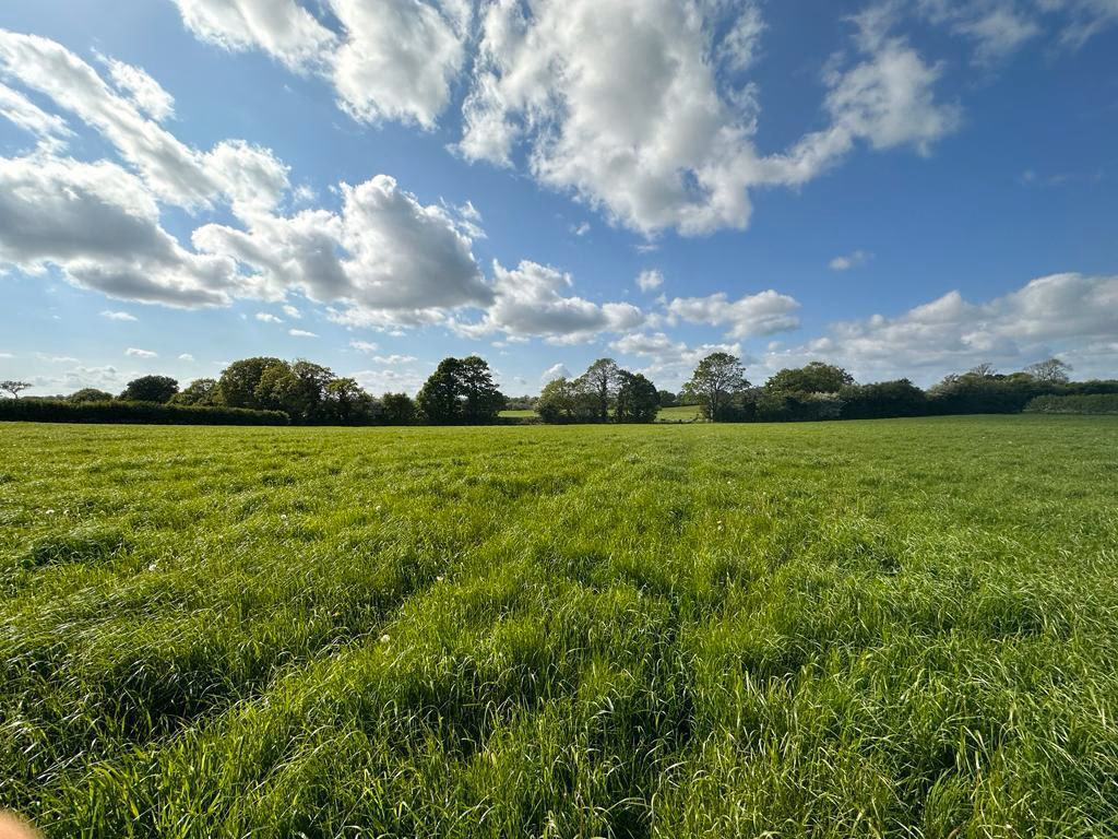 Land for sale - Image 3
