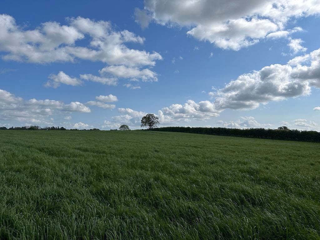 Land for sale - Image 4