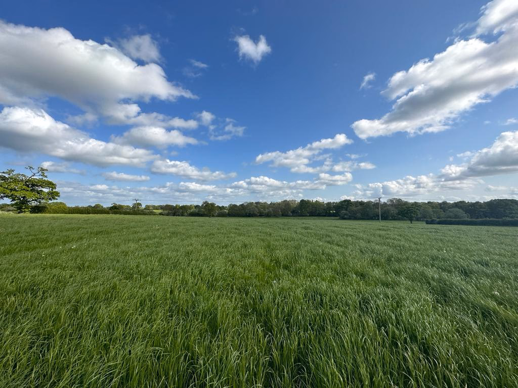 Land for sale - Image 5