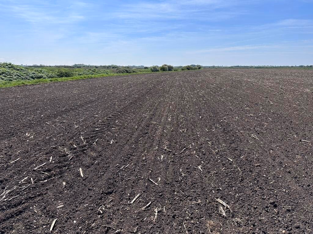 Farm land for sale - Image 4