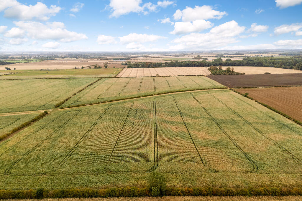 Farm land for sale - Image 3