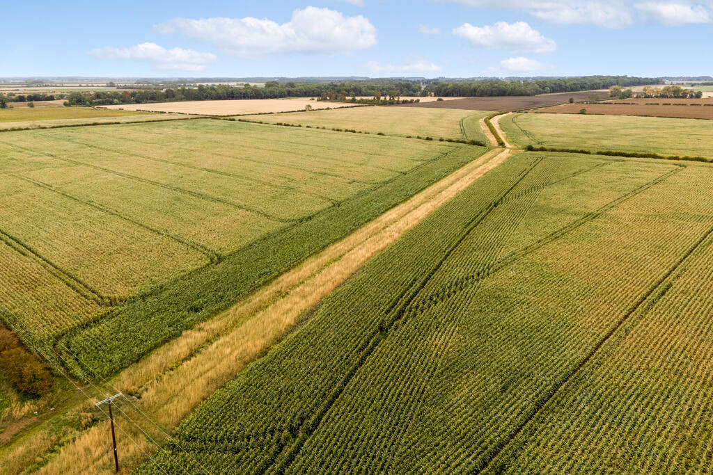 Farm land for sale - Image 4