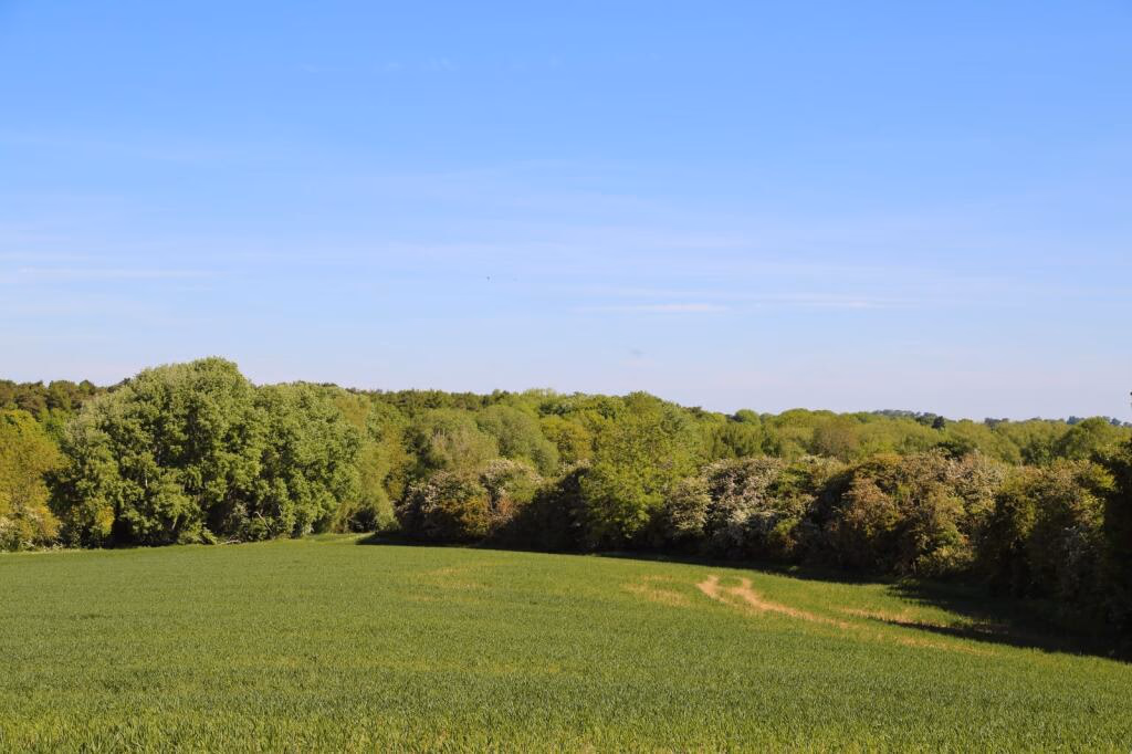 Land for sale - Image 5