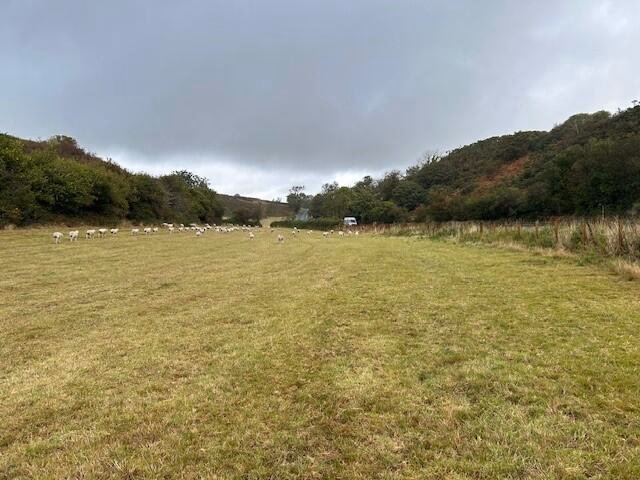 Land for sale - Image 2
