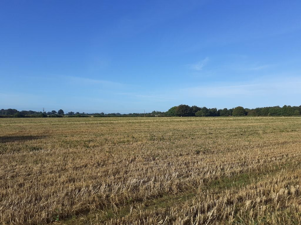 Farm land for sale - Image 1